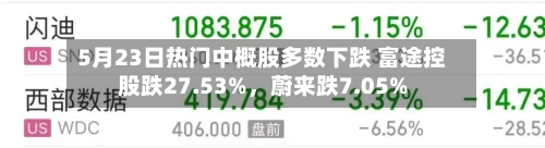 5月23日热门中概股多数下跌 富途控股跌27.53%	，蔚来跌7.05%-第3张图片