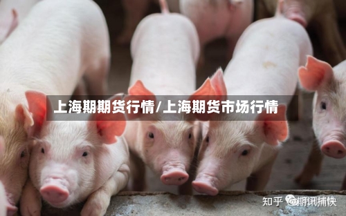 上海期期货行情/上海期货市场行情-第3张图片