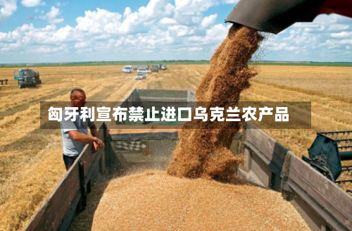 匈牙利宣布禁止进口乌克兰农产品