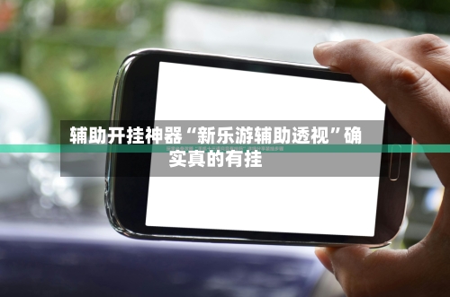 辅助开挂神器“新乐游辅助透视”确实真的有挂-第3张图片