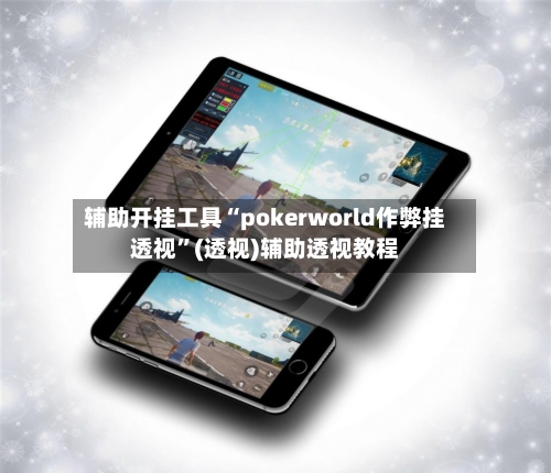 辅助开挂工具“pokerworld作弊挂透视”(透视)辅助透视教程-第2张图片