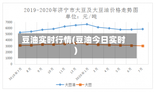 豆油实时行情(豆油今日实时)-第2张图片