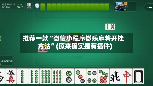 推荐一款“微信小程序微乐麻将开挂方法”(原来确实是有插件)-第2张图片