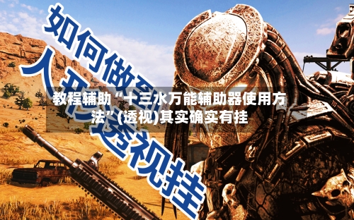 教程辅助“十三水万能辅助器使用方法”(透视)其实确实有挂