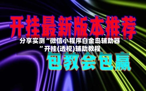 分享实测“微信小程序白金岛辅助器”开挂(透视)辅助教程-第3张图片