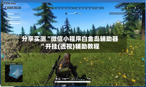 分享实测“微信小程序白金岛辅助器”开挂(透视)辅助教程