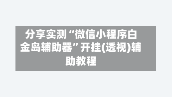 分享实测“微信小程序白金岛辅助器”开挂(透视)辅助教程-第2张图片