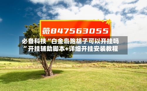 必备科技“白金岛跑胡子可以开挂吗”开挂辅助脚本+详细开挂安装教程-第2张图片