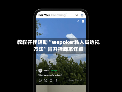 教程开挂辅助“wepoker私人局透视方法”附开挂脚本详细-第2张图片