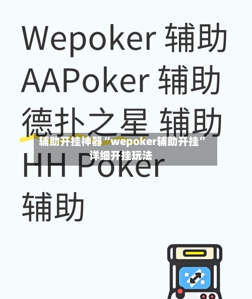 辅助开挂神器“wepoker辅助开挂”详细开挂玩法-第2张图片