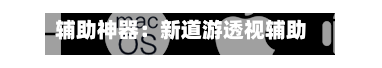辅助神器：新道游透视辅助器”(透视挂)辅助透视教程-第2张图片