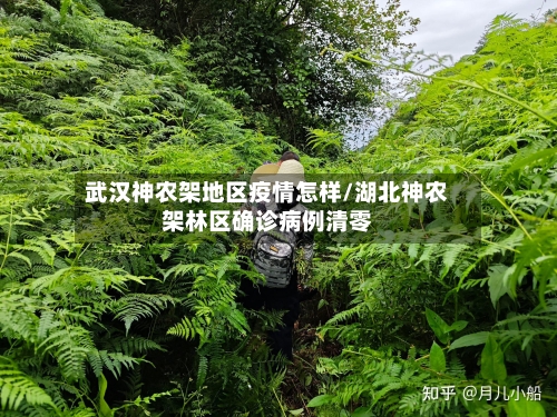 武汉神农架地区疫情怎样/湖北神农架林区确诊病例清零-第3张图片