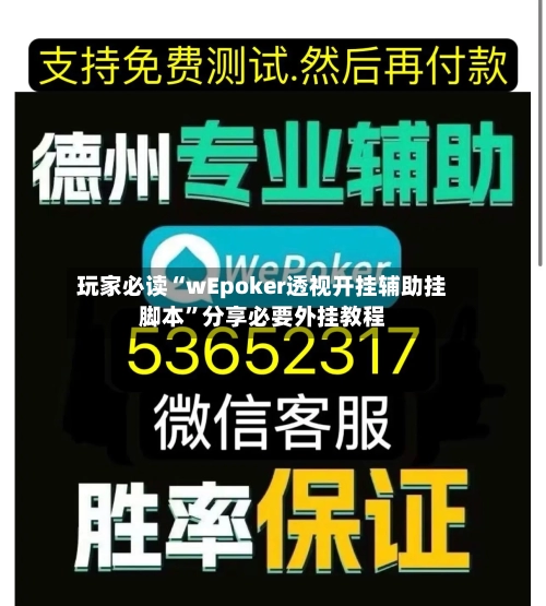 玩家必读“wEpoker透视开挂辅助挂脚本	”分享必要外挂教程-第3张图片