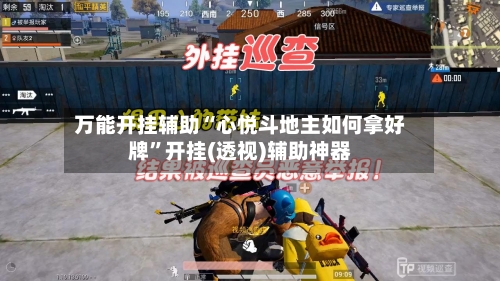 万能开挂辅助“心悦斗地主如何拿好牌”开挂(透视)辅助神器-第2张图片