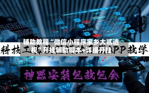 辅助教程“微信小程序家乡大贰透视”开挂辅助脚本+详细开挂