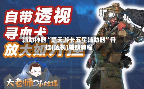 辅助神器“楚天游卡五星辅助器	”开挂(透视)辅助教程-第2张图片