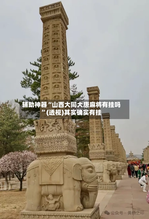 辅助神器“山西大同大唐麻将有挂吗”(透视)其实确实有挂
