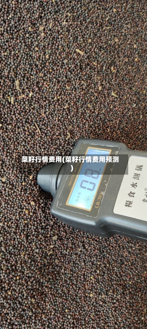 菜籽行情费用(菜籽行情费用预测)