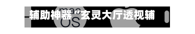 辅助神器“玄灵大厅透视辅助”(透视)开挂辅助脚本+详细开挂安装教程-第3张图片