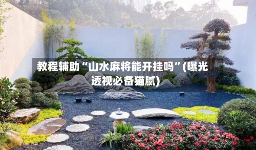 教程辅助“山水麻将能开挂吗”(曝光透视必备猫腻)-第2张图片