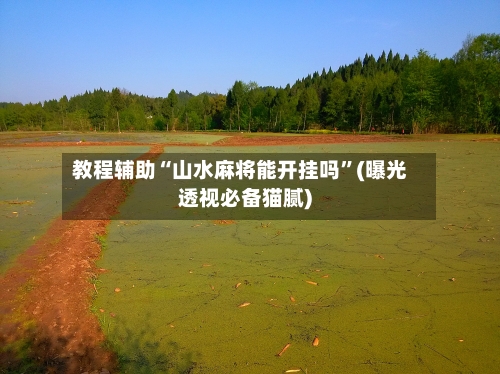教程辅助“山水麻将能开挂吗”(曝光透视必备猫腻)
