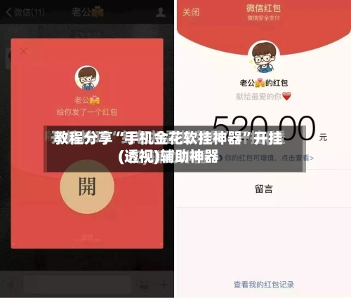教程分享“手机金花软挂神器”开挂(透视)辅助神器-第2张图片