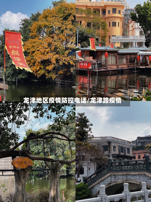 龙津地区疫情防控电话/龙津路疫情-第2张图片