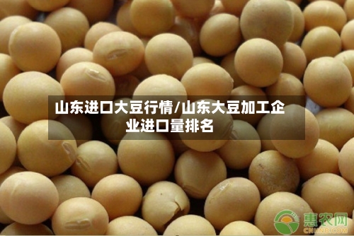 山东进口大豆行情/山东大豆加工企业进口量排名