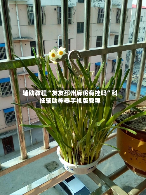 辅助教程“友友邳州麻将有挂吗	”科技辅助神器手机版教程-第2张图片