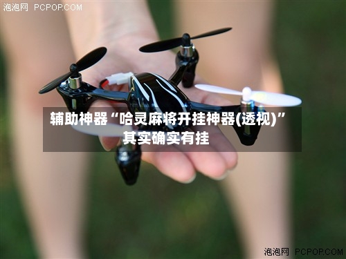 辅助神器“哈灵麻将开挂神器(透视)	”其实确实有挂-第2张图片