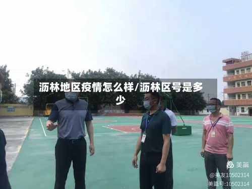 沥林地区疫情怎么样/沥林区号是多少-第2张图片