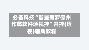 必备科技“智星菠萝德州作弊软件透视挂”开挂(透视)辅助教程-第2张图片
