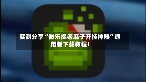 实测分享“微乐捉老麻子开挂神器”通用版下载教程！-第2张图片
