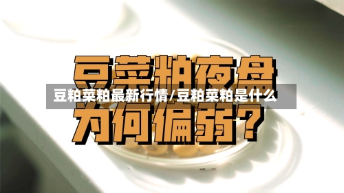 豆粕菜粕最新行情/豆粕菜粕是什么-第3张图片