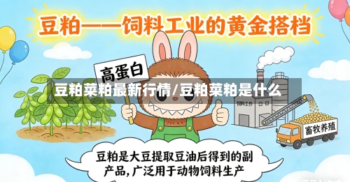 豆粕菜粕最新行情/豆粕菜粕是什么-第2张图片