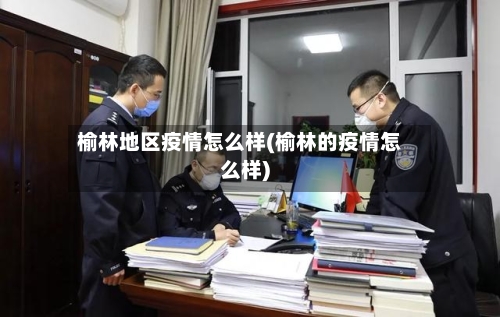 榆林地区疫情怎么样(榆林的疫情怎么样)-第2张图片