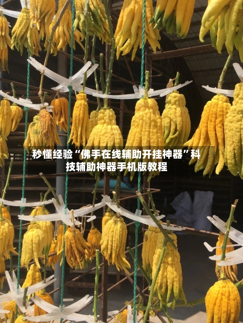 秒懂经验“佛手在线辅助开挂神器”科技辅助神器手机版教程-第2张图片