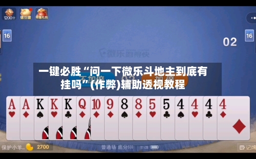 一键必胜“问一下微乐斗地主到底有挂吗	”(作弊)辅助透视教程-第2张图片