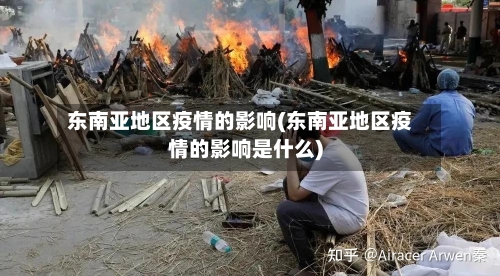 东南亚地区疫情的影响(东南亚地区疫情的影响是什么)-第2张图片