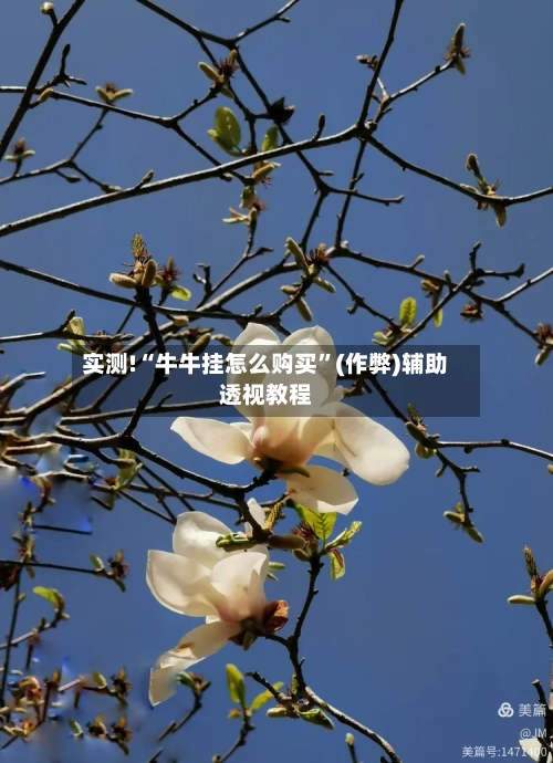 实测!“牛牛挂怎么购买”(作弊)辅助透视教程-第2张图片