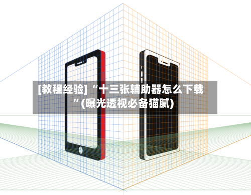 [教程经验] “十三张辅助器怎么下载”(曝光透视必备猫腻)-第3张图片