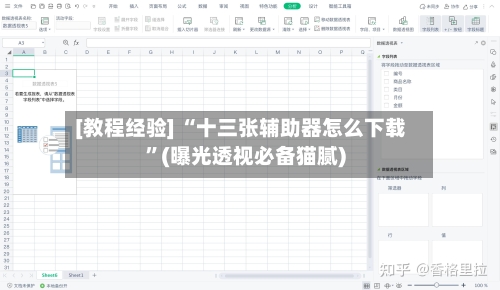 [教程经验] “十三张辅助器怎么下载”(曝光透视必备猫腻)-第2张图片