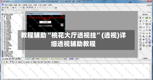 教程辅助“桃花大厅透视挂”(透视)详细透视辅助教程
