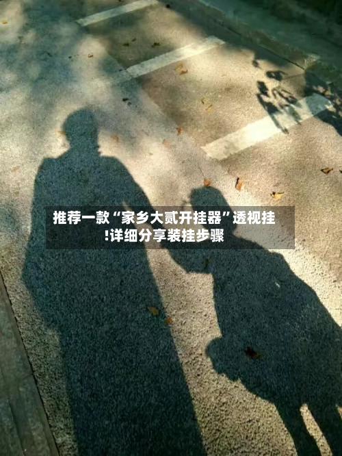推荐一款“家乡大贰开挂器	”透视挂!详细分享装挂步骤-第2张图片