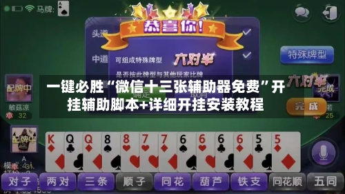 一键必胜“微信十三张辅助器免费”开挂辅助脚本+详细开挂安装教程-第2张图片