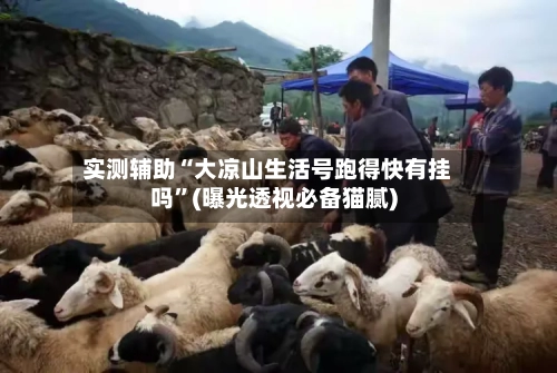 实测辅助“大凉山生活号跑得快有挂吗”(曝光透视必备猫腻)-第2张图片