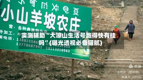 实测辅助“大凉山生活号跑得快有挂吗”(曝光透视必备猫腻)-第3张图片
