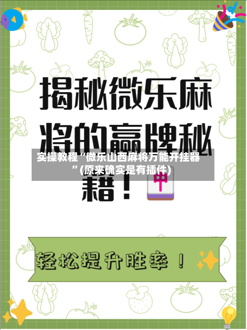 实操教程“微乐山西麻将万能开挂器”(原来确实是有插件)-第2张图片