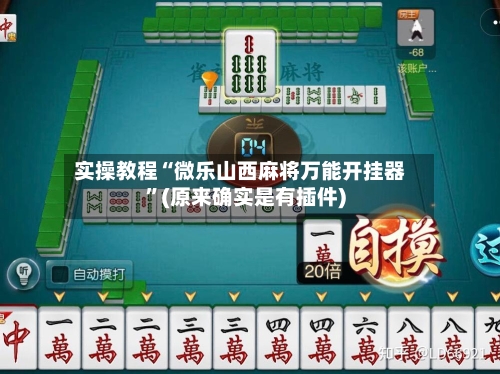 实操教程“微乐山西麻将万能开挂器	”(原来确实是有插件)-第3张图片