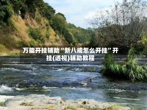 万能开挂辅助“新八戒怎么开挂”开挂(透视)辅助教程